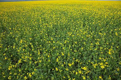 多人打僵尸游戏《喋血复仇》试玩报道 随机卡牌提升重玩性