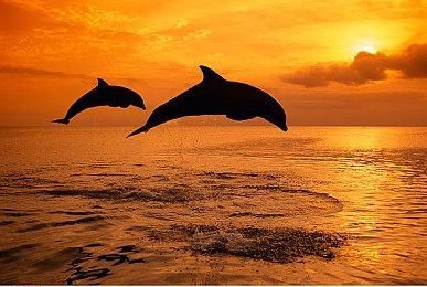 《使命召唤：战区》手游预注册人数已超4500万 2024年春上线